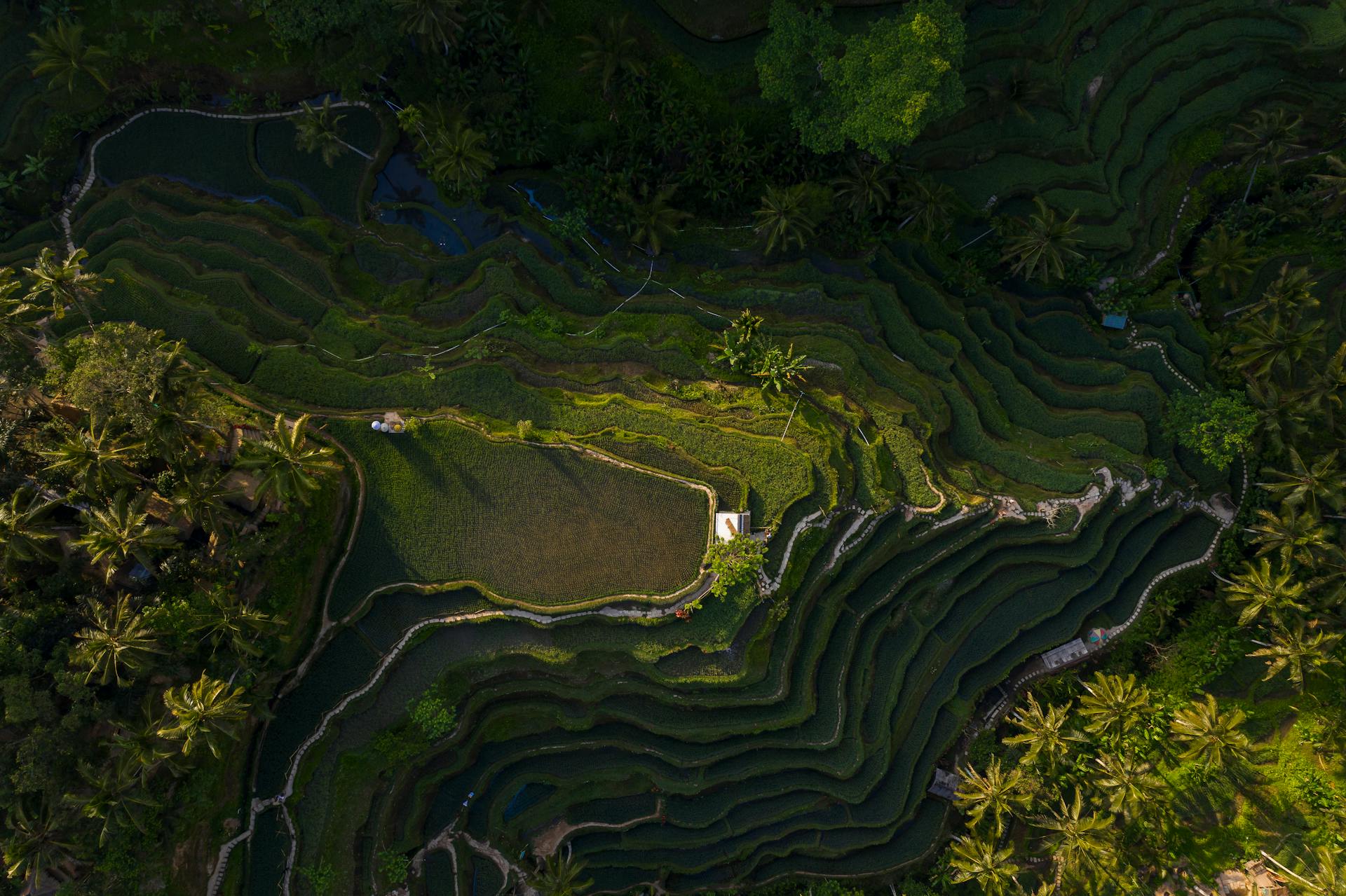 Indonesia