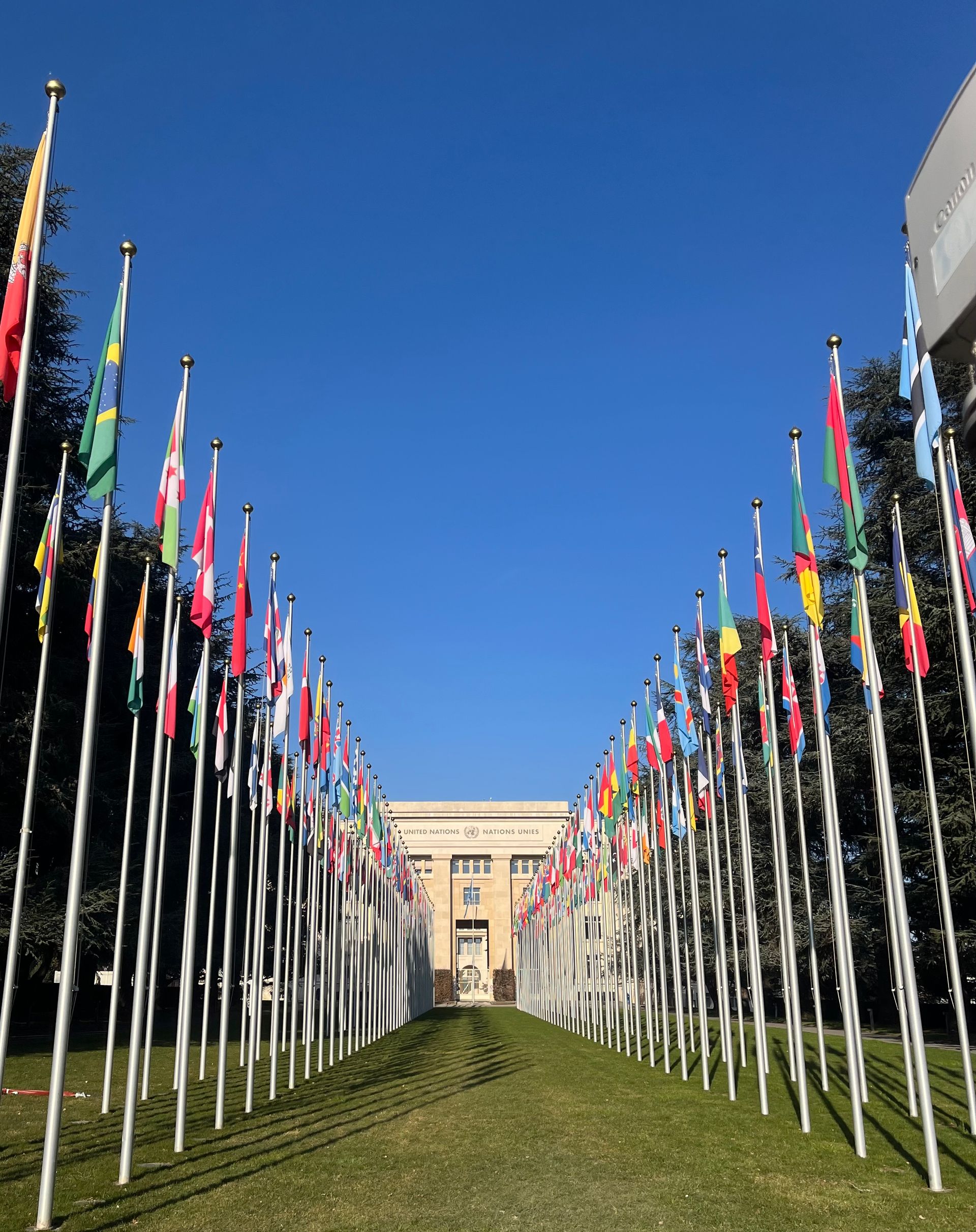 Global Perspectives